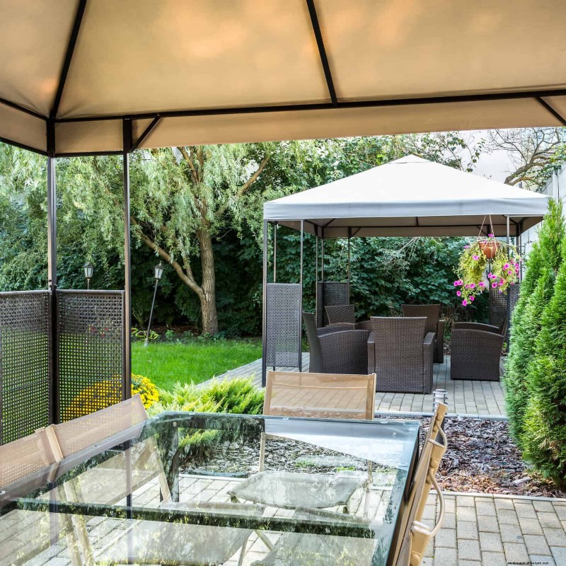 Best Shade Solutions for Delicate Plants: Protect Your Garden