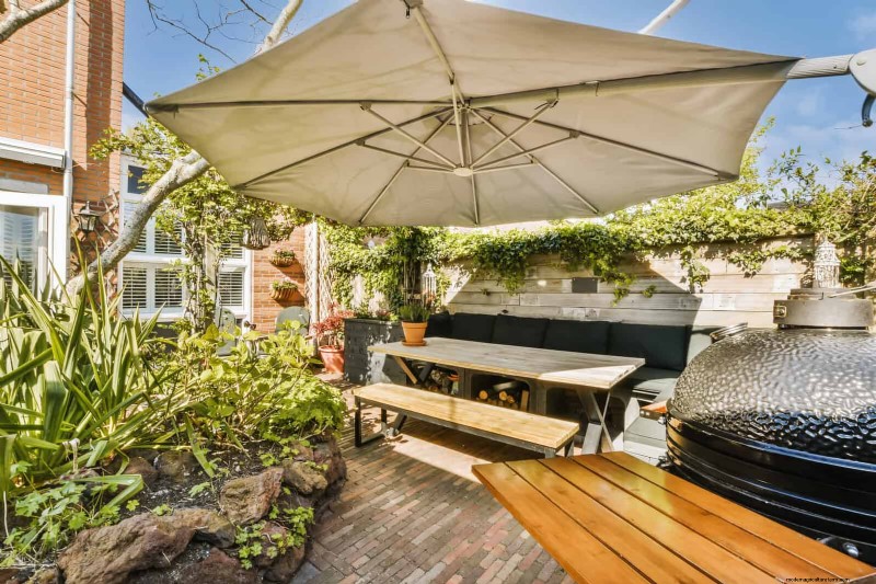 Best Shade Solutions for Delicate Plants: Protect Your Garden