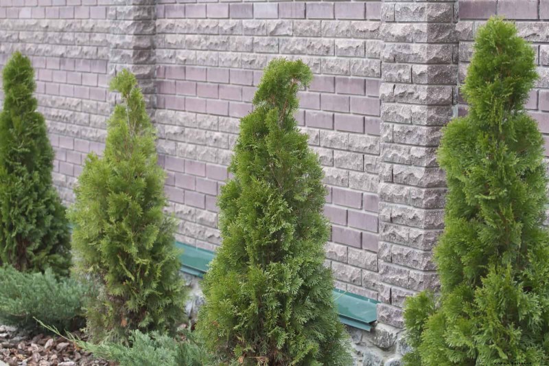 Best Shade Solutions for Delicate Plants: Protect Your Garden