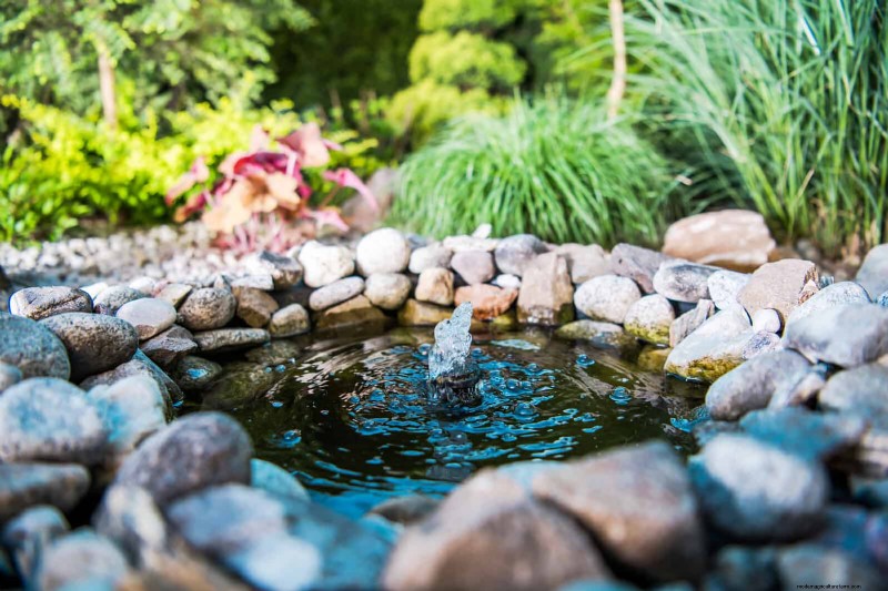 Best Shade Solutions for Delicate Plants: Protect Your Garden