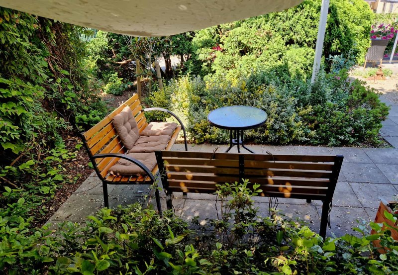 Best Shade Solutions for Delicate Plants: Protect Your Garden