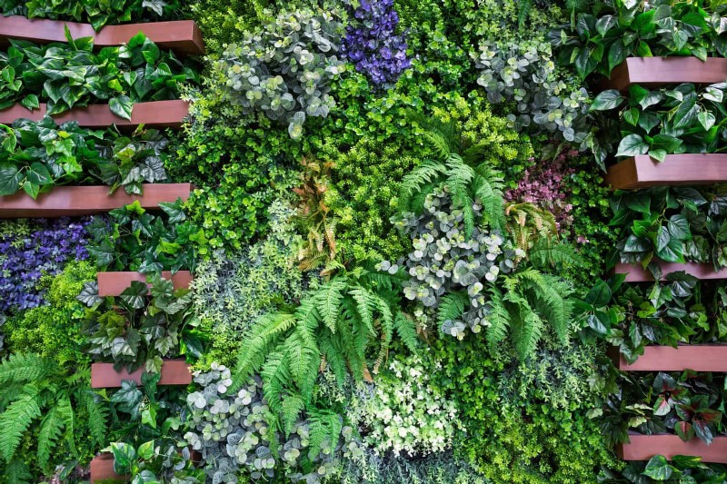 Best Shade Solutions for Delicate Plants: Protect Your Garden
