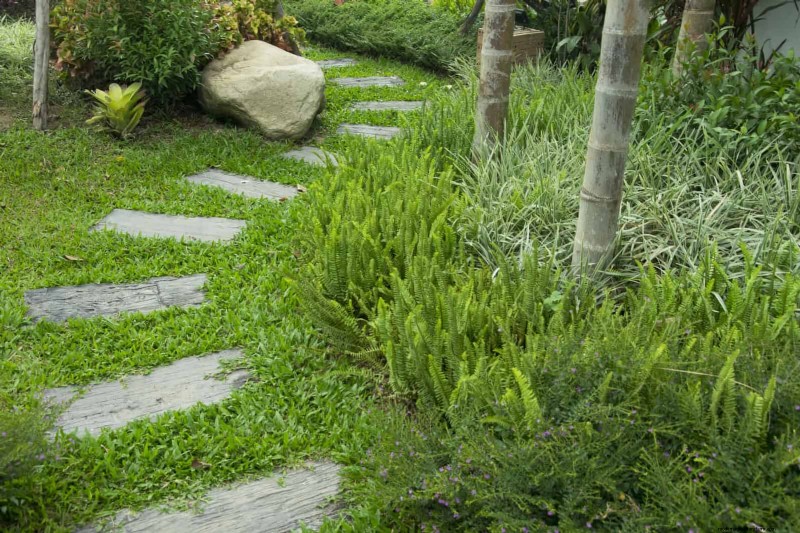 Best Shade Solutions for Delicate Plants: Protect Your Garden