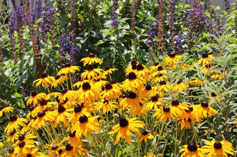 Avoid Costly Mistakes: 9 Outdoor Projects That Don t Pay Off [Better Alternatives]