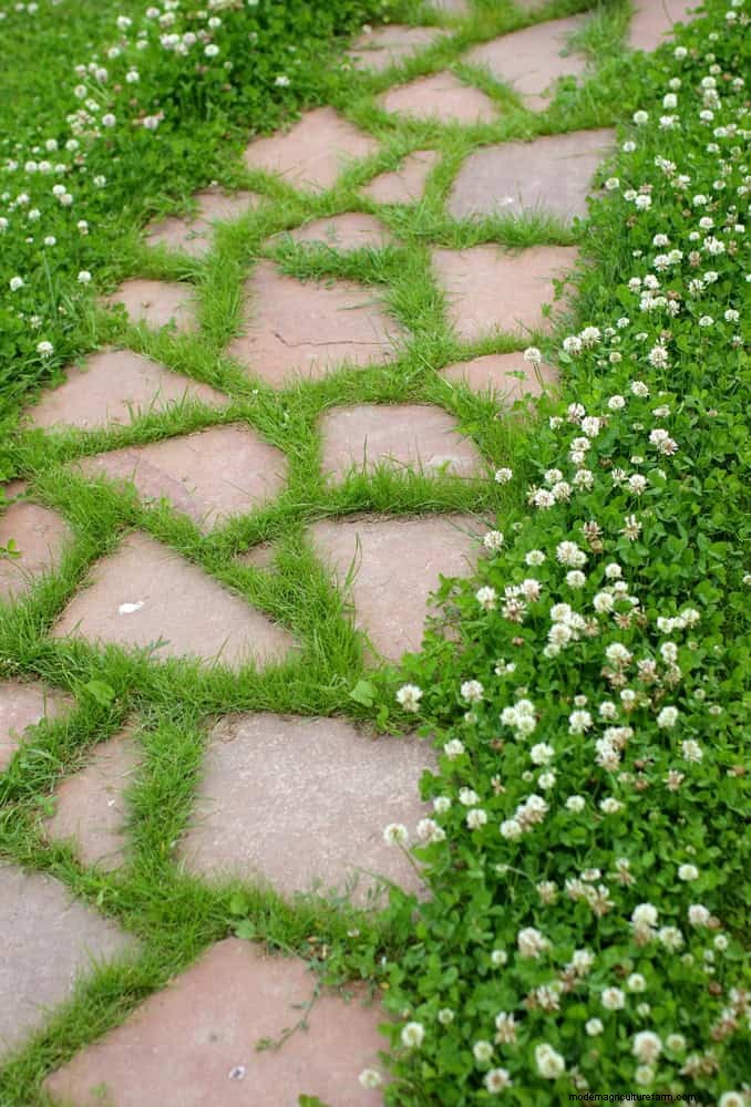 Avoid Costly Mistakes: 9 Outdoor Projects That Don t Pay Off [Better Alternatives]