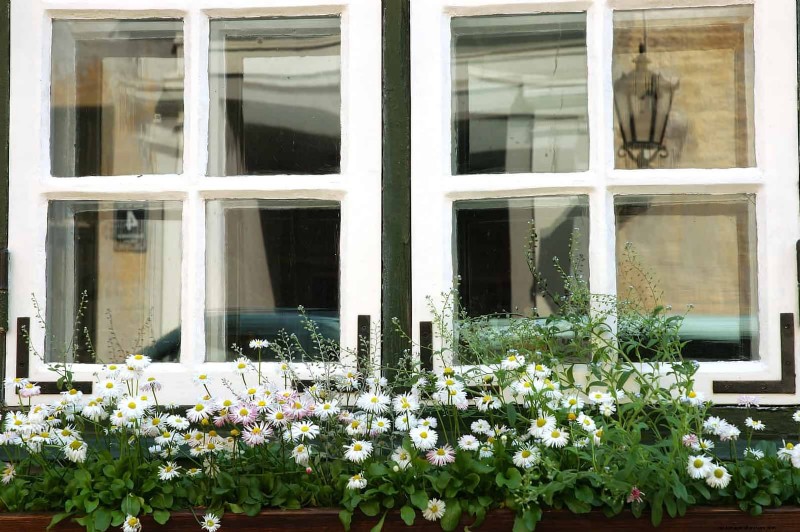 Create a Stunning Moon Garden: Nighttime Beauty & Design