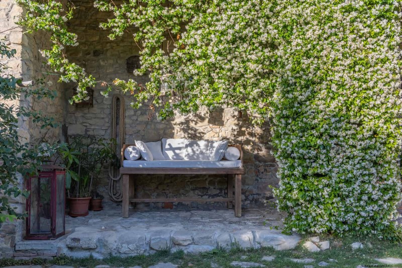 Create a Stunning Moon Garden: Nighttime Beauty & Design