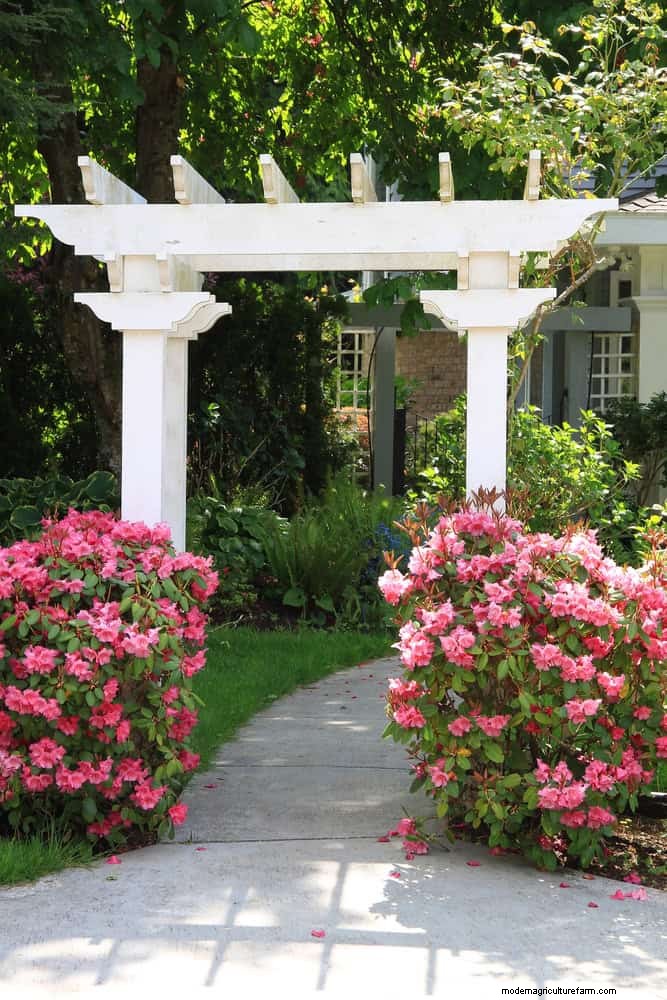 Create a Stunning Moon Garden: Nighttime Beauty & Design