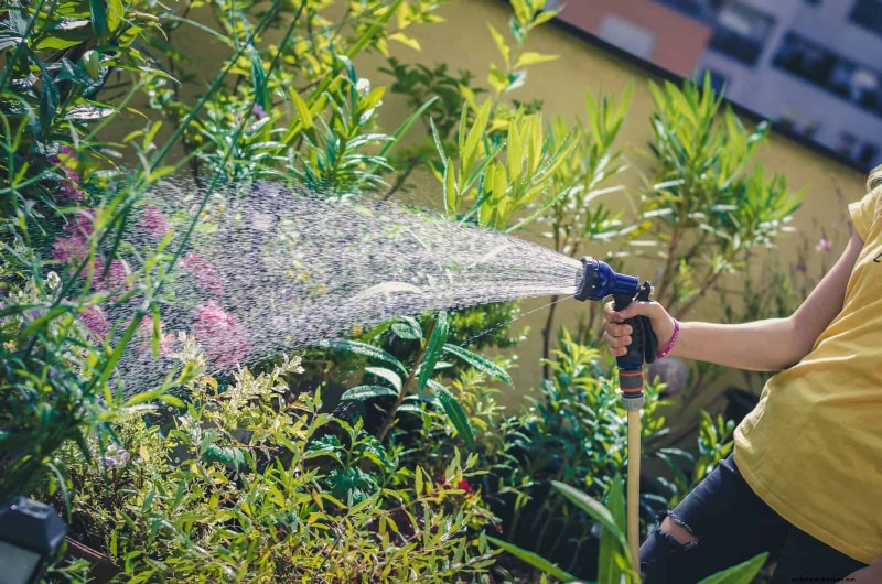 Master Plant Watering: 15 Common Mistakes & How to Fix Them