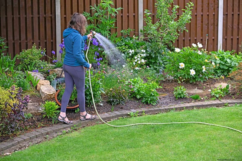 Master Plant Watering: 15 Common Mistakes & How to Fix Them