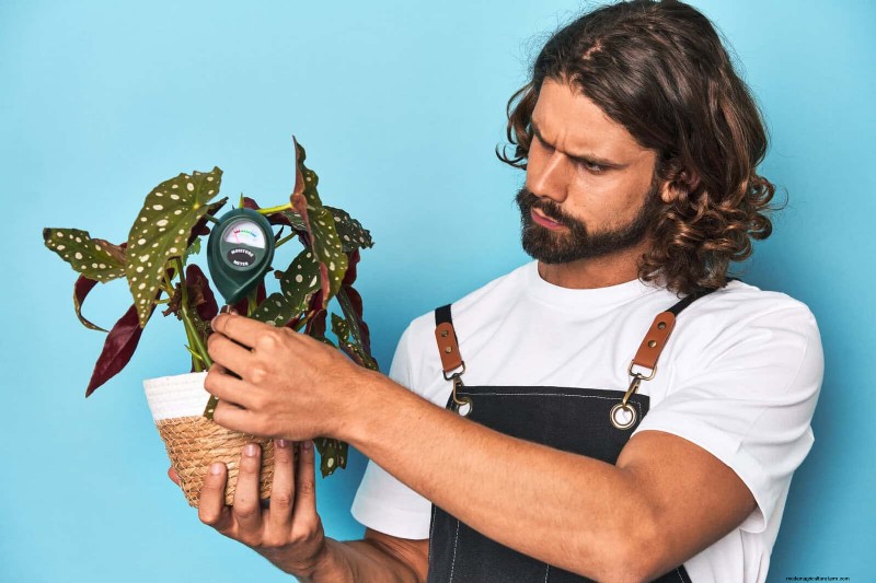 Master Plant Watering: 15 Common Mistakes & How to Fix Them