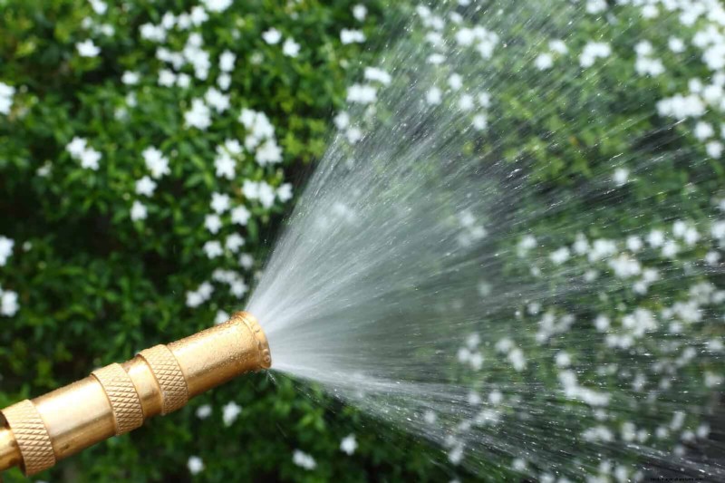 Master Plant Watering: 15 Common Mistakes & How to Fix Them