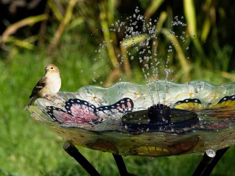 Easy Summer Gardening & Landscaping: 21 Low-Effort Projects