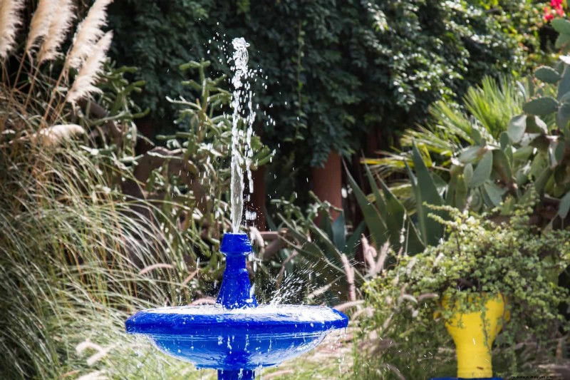 Easy Summer Gardening & Landscaping: 21 Low-Effort Projects