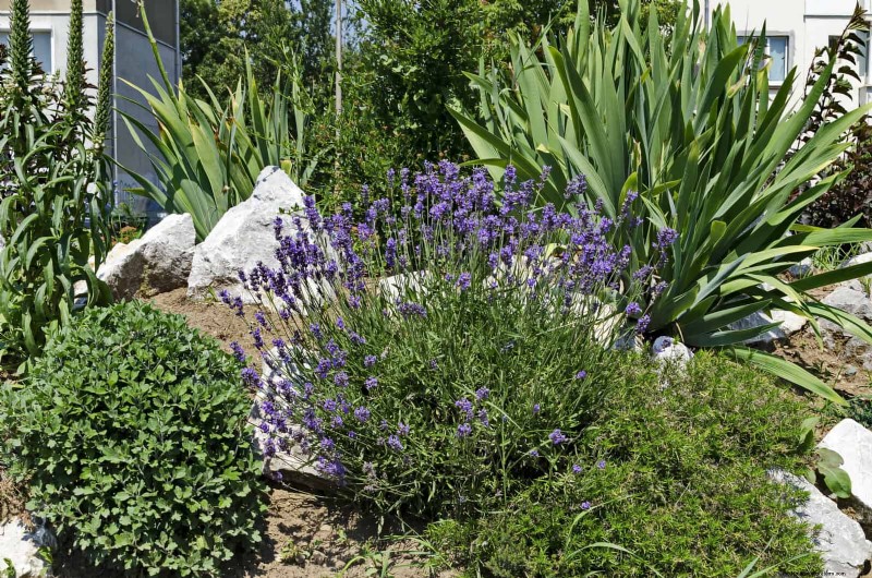 Easy Summer Gardening & Landscaping: 21 Low-Effort Projects