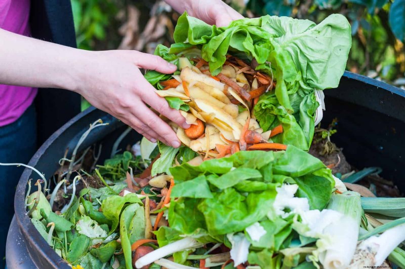 Easy Summer Gardening & Landscaping: 21 Low-Effort Projects