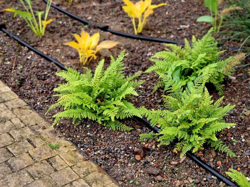 Easy Summer Gardening & Landscaping: 21 Low-Effort Projects