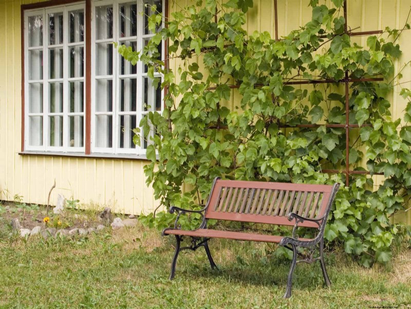 Easy Summer Gardening & Landscaping: 21 Low-Effort Projects