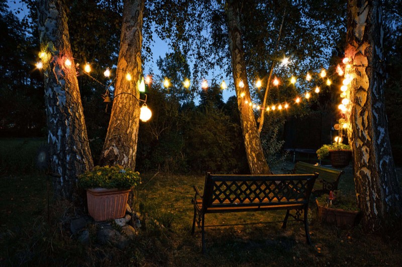 Easy Summer Gardening & Landscaping: 21 Low-Effort Projects