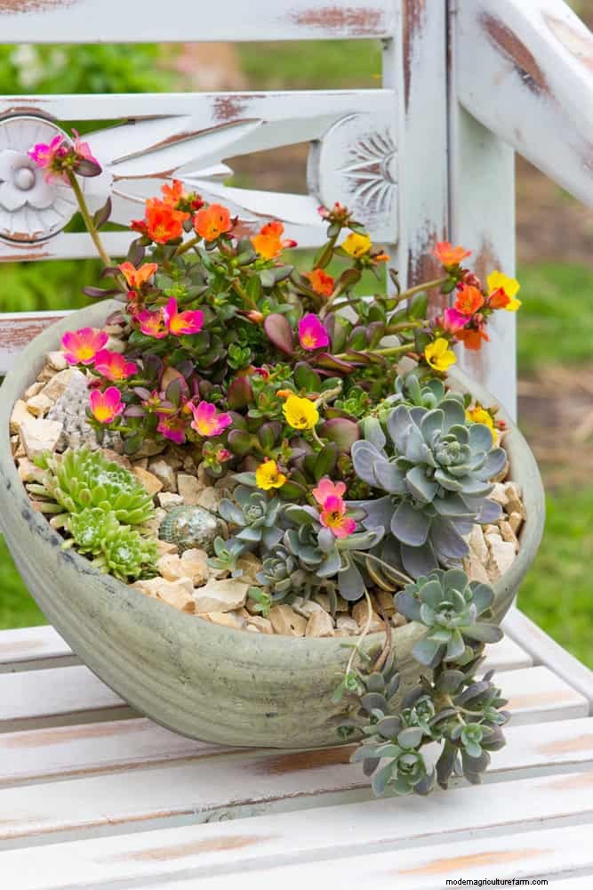 Easy Summer Gardening & Landscaping: 21 Low-Effort Projects