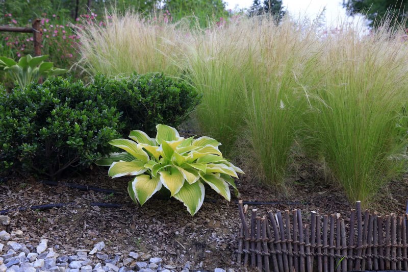 Easy Summer Gardening & Landscaping: 21 Low-Effort Projects