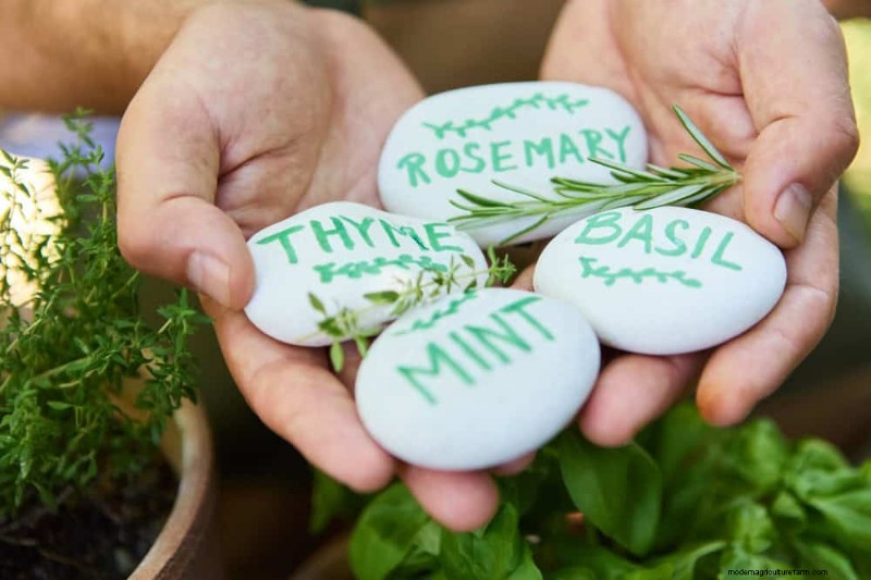Easy Summer Gardening & Landscaping: 21 Low-Effort Projects