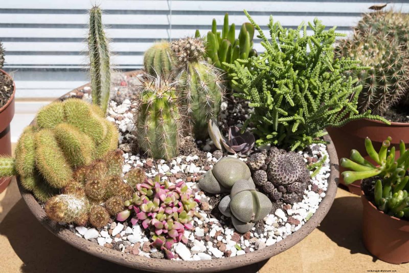 Easy Summer Gardening & Landscaping: 21 Low-Effort Projects