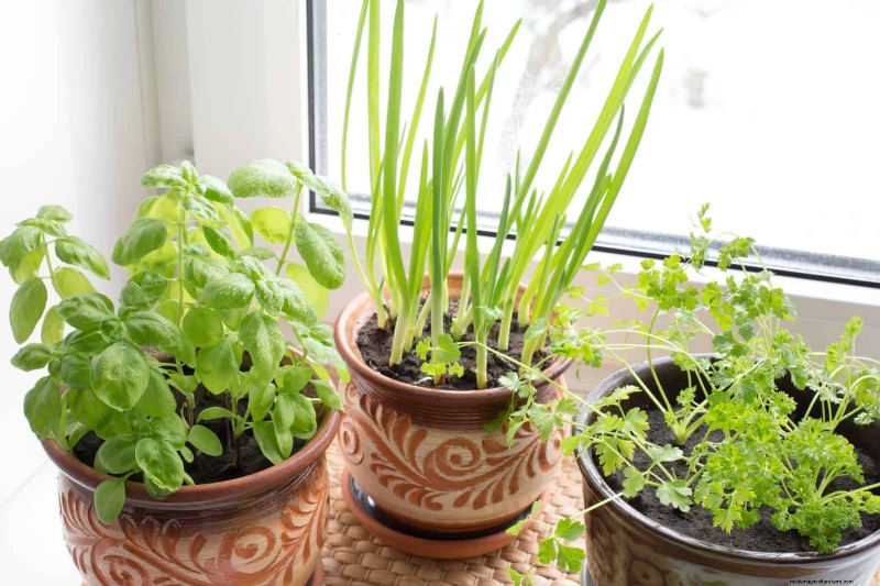 Easy Summer Gardening & Landscaping: 21 Low-Effort Projects