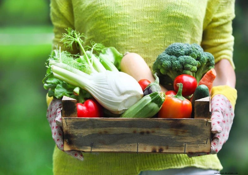 July Vegetable Planting: What You Can Still Grow & How