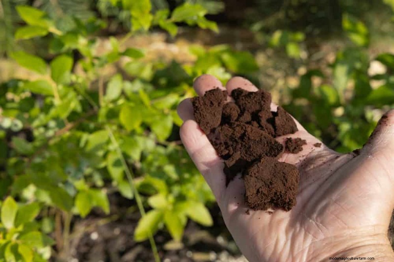 Budget-Friendly Gardening: 17 Money-Saving Hacks for a Thriving Garden