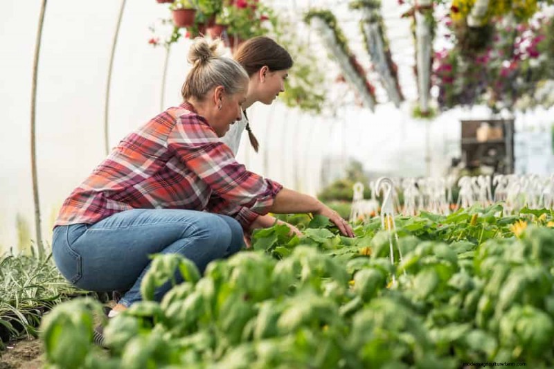 Budget-Friendly Gardening: 17 Money-Saving Hacks for a Thriving Garden