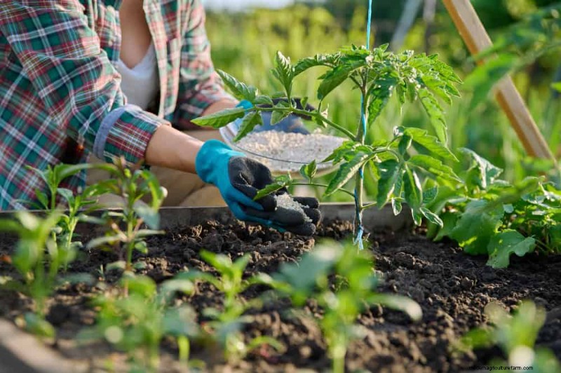 Budget-Friendly Gardening: 17 Money-Saving Hacks for a Thriving Garden