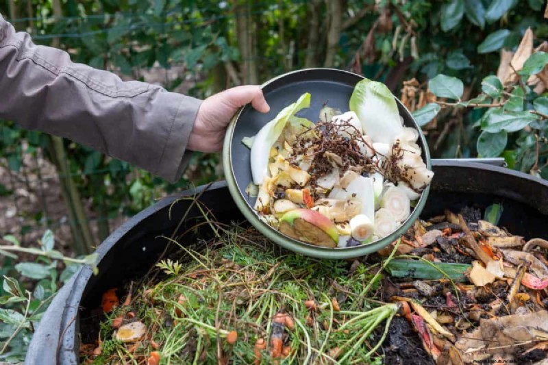 Budget-Friendly Gardening: 17 Money-Saving Hacks for a Thriving Garden