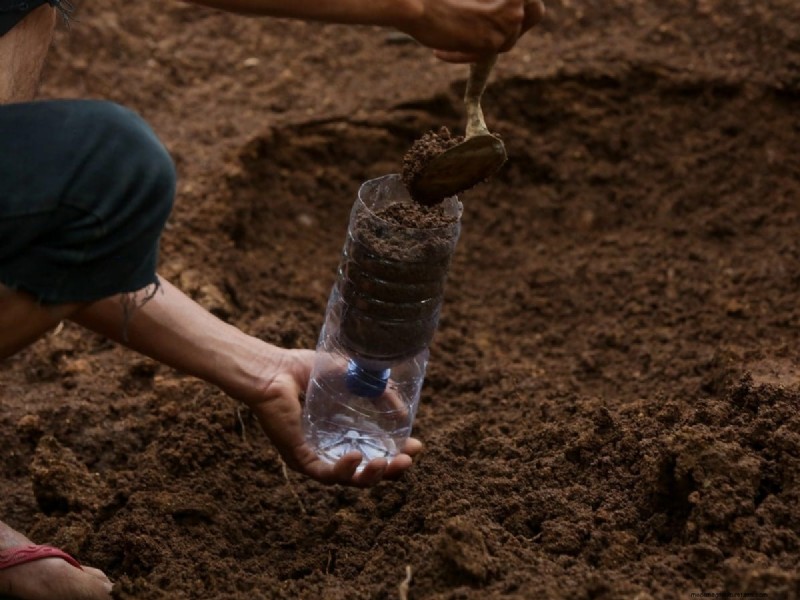 Budget-Friendly Gardening: 17 Money-Saving Hacks for a Thriving Garden