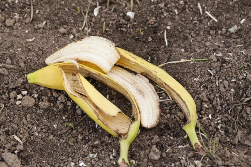 Budget-Friendly Gardening: 17 Money-Saving Hacks for a Thriving Garden