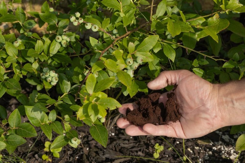 Budget-Friendly Gardening: 17 Money-Saving Hacks for a Thriving Garden