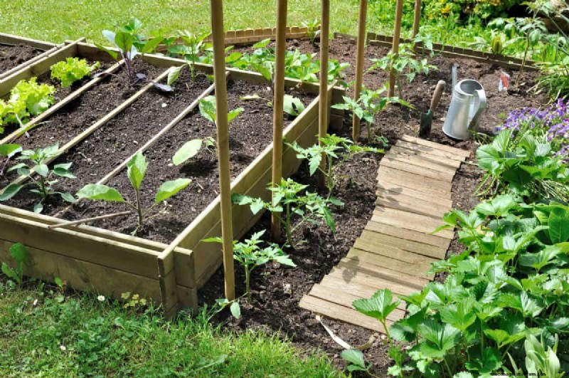 Budget-Friendly Gardening: 17 Money-Saving Hacks for a Thriving Garden