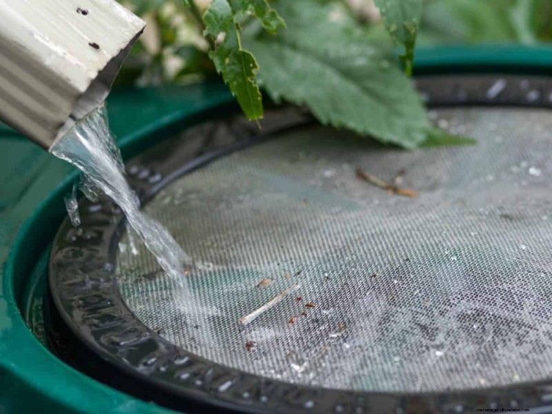 Budget-Friendly Gardening: 17 Money-Saving Hacks for a Thriving Garden