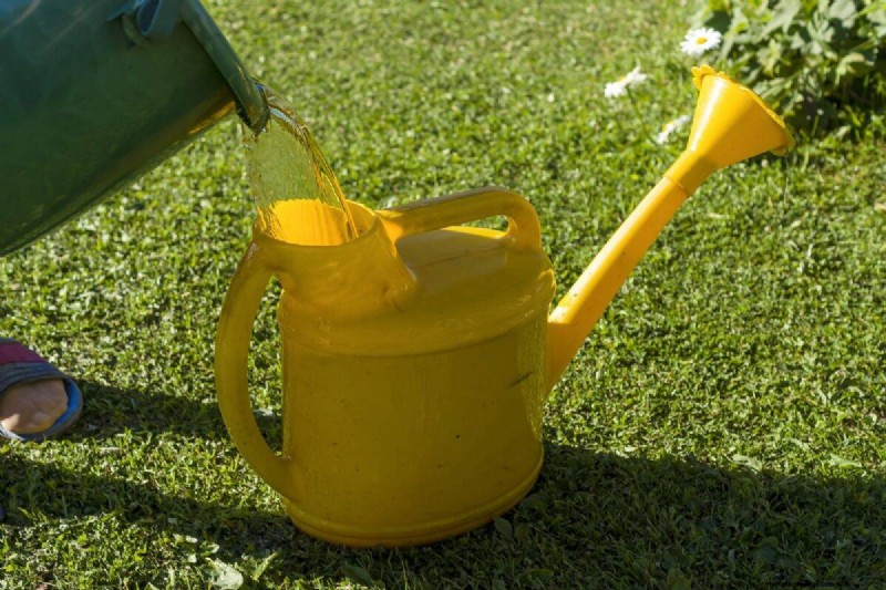 Budget-Friendly Gardening: 17 Money-Saving Hacks for a Thriving Garden
