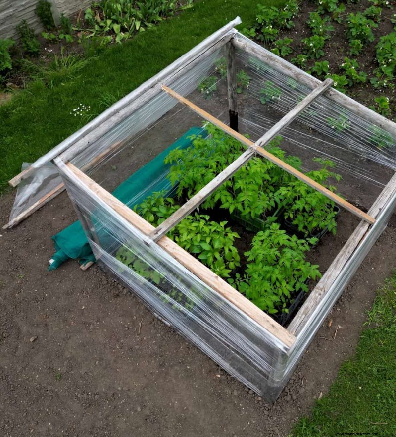 Budget-Friendly Gardening: 17 Money-Saving Hacks for a Thriving Garden