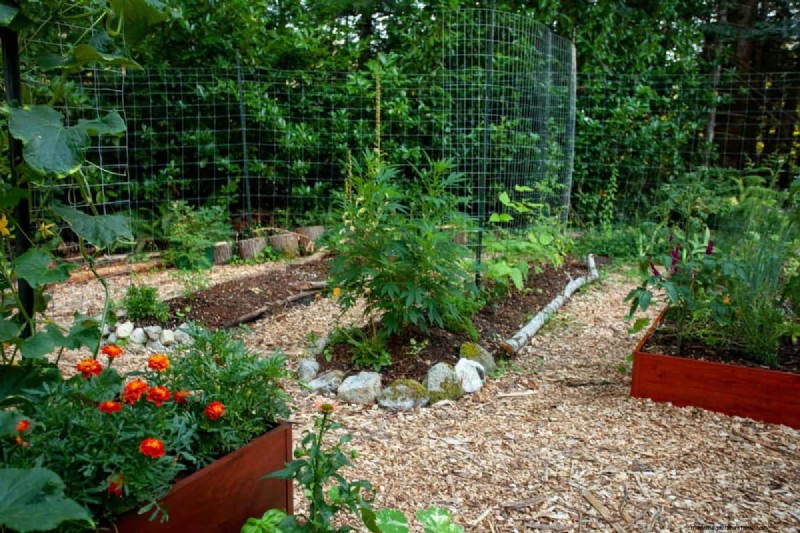 Budget-Friendly Gardening: 17 Money-Saving Hacks for a Thriving Garden