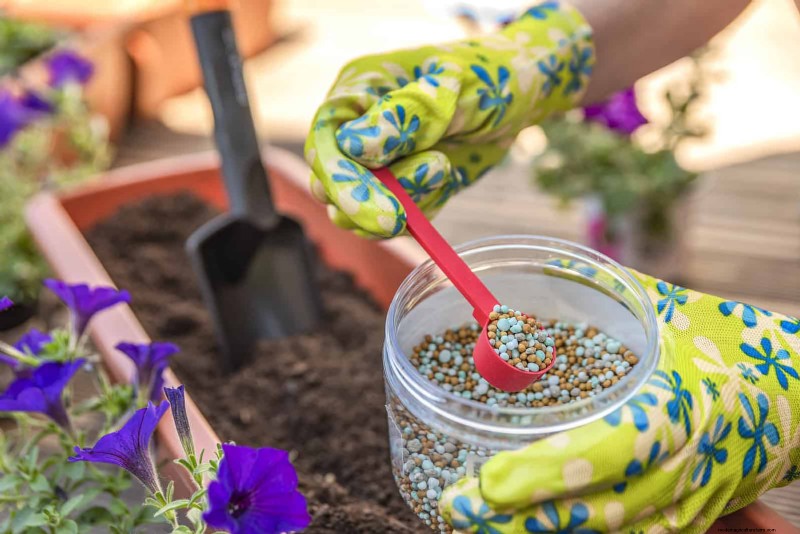July Garden Care: 14 Essential Tasks for a Thriving Summer Garden