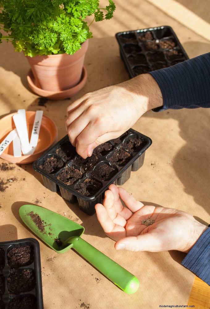 July Garden Care: 14 Essential Tasks for a Thriving Summer Garden