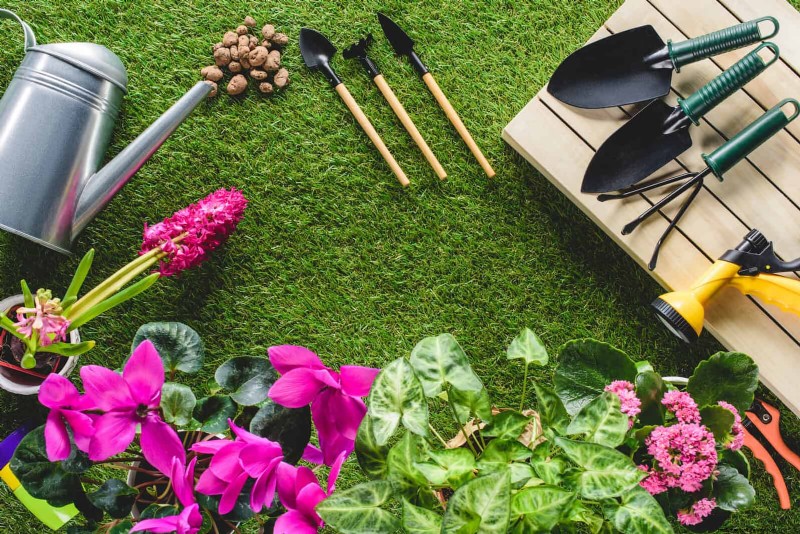 July Garden Care: 14 Essential Tasks for a Thriving Summer Garden