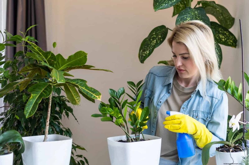 Troubleshooting Plant Problems: 10 Unexpected Causes for Plant Struggles