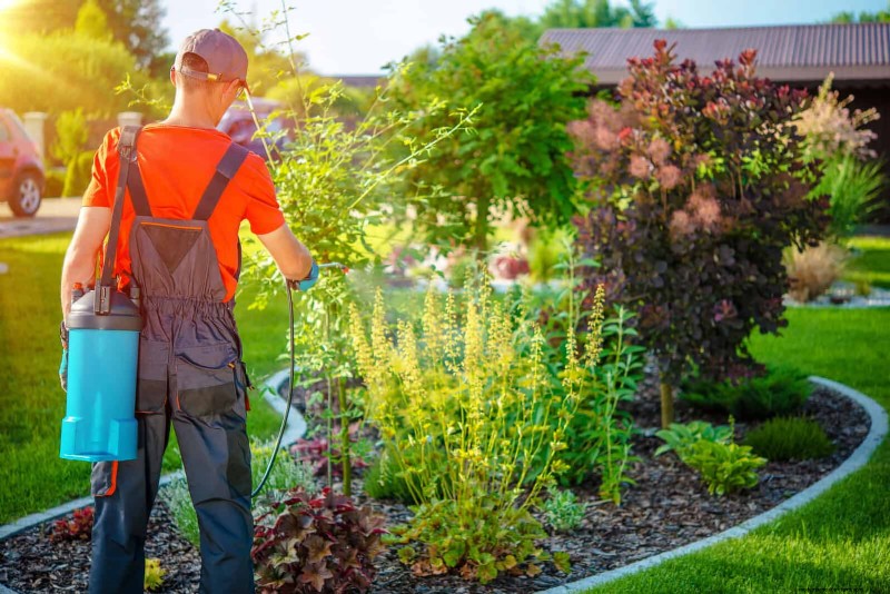 Troubleshooting Plant Problems: 10 Unexpected Causes for Plant Struggles