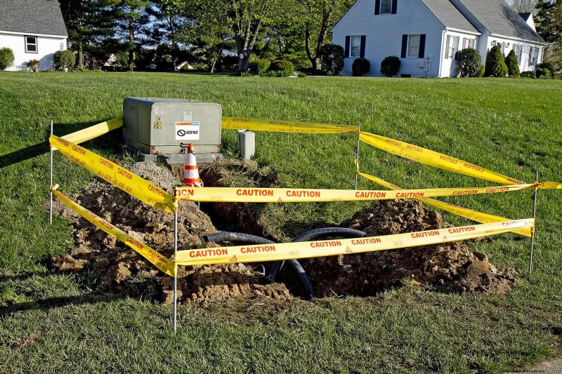 Troubleshooting Plant Problems: 10 Unexpected Causes for Plant Struggles