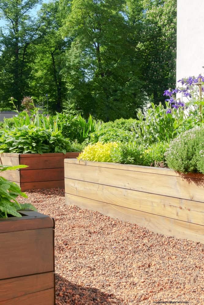 Troubleshooting Plant Problems: 10 Unexpected Causes for Plant Struggles