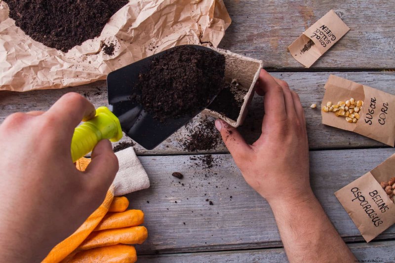 Troubleshooting Plant Problems: 10 Unexpected Causes for Plant Struggles