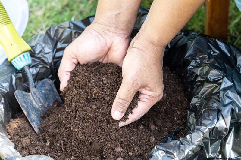 Troubleshooting Plant Problems: 10 Unexpected Causes for Plant Struggles